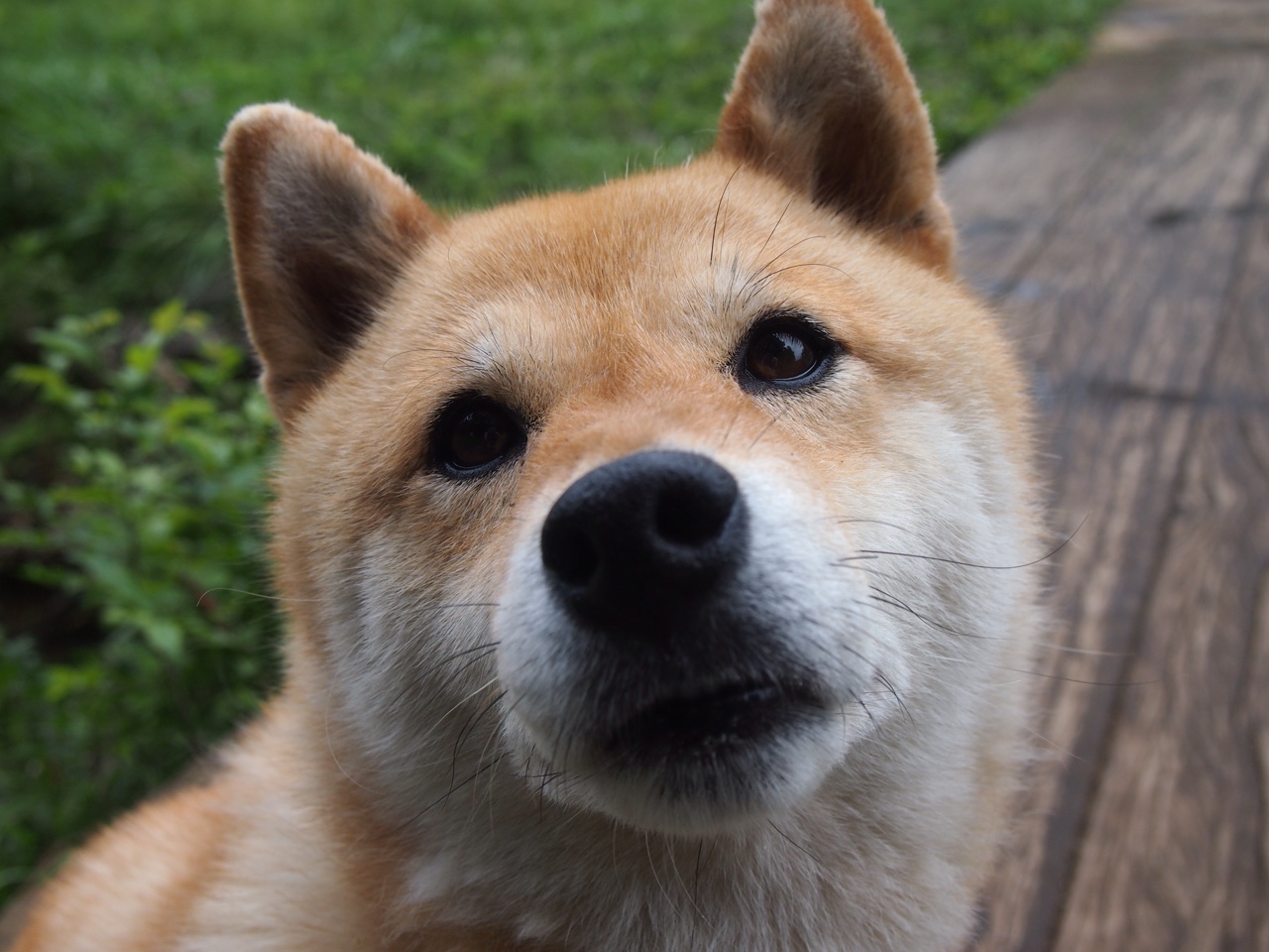 爱游戏电竞-伊朗男足止步八强，惜败中国香港队，伊朗男足亚洲杯